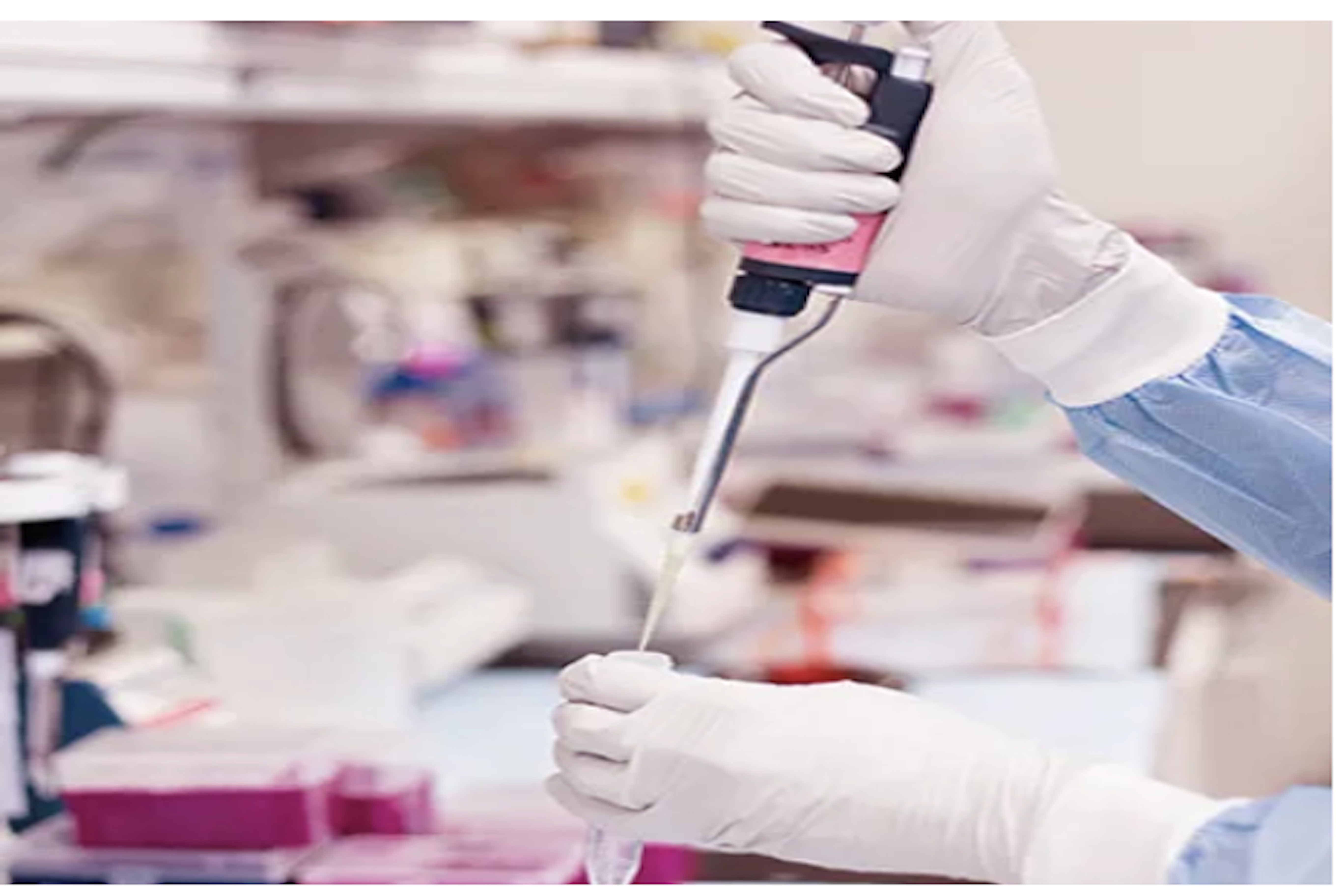 Screenshot 2023-03-23 at 16.32.24